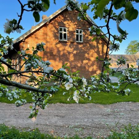 Store Stensig Frederikshavn község Kültér fotó